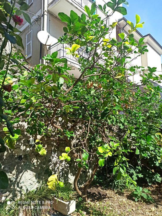 Appartamento Lemons House Monterosso al Mare Esterno foto