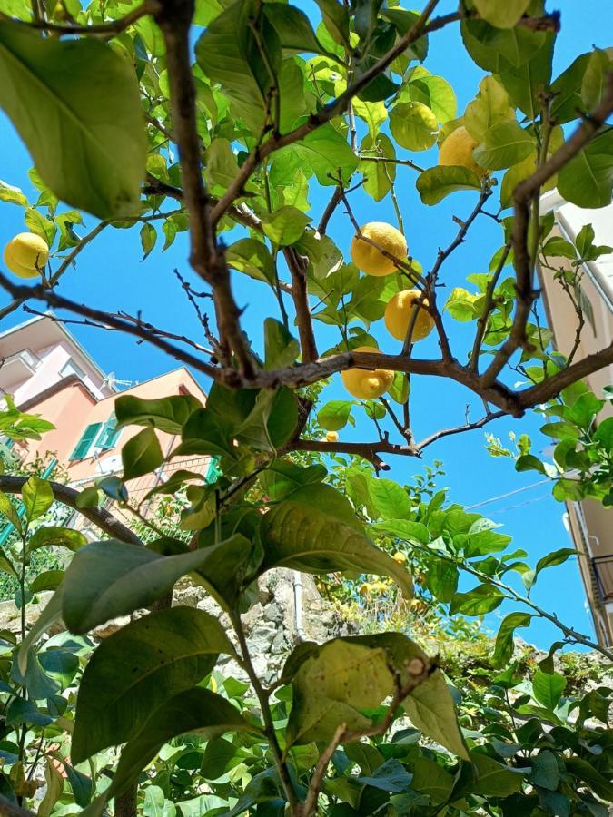 Appartamento Lemons House Monterosso al Mare Esterno foto